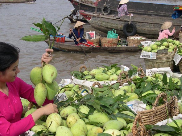 Mekong Delta / Daily departure
